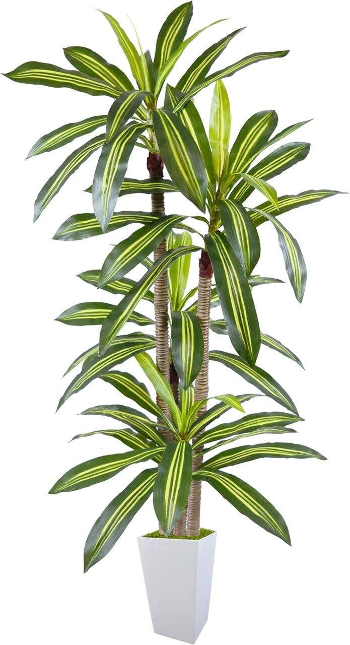 6 ft Artificial Dracaena Tree – Faux Silk Plant with White Planter for Home & Office